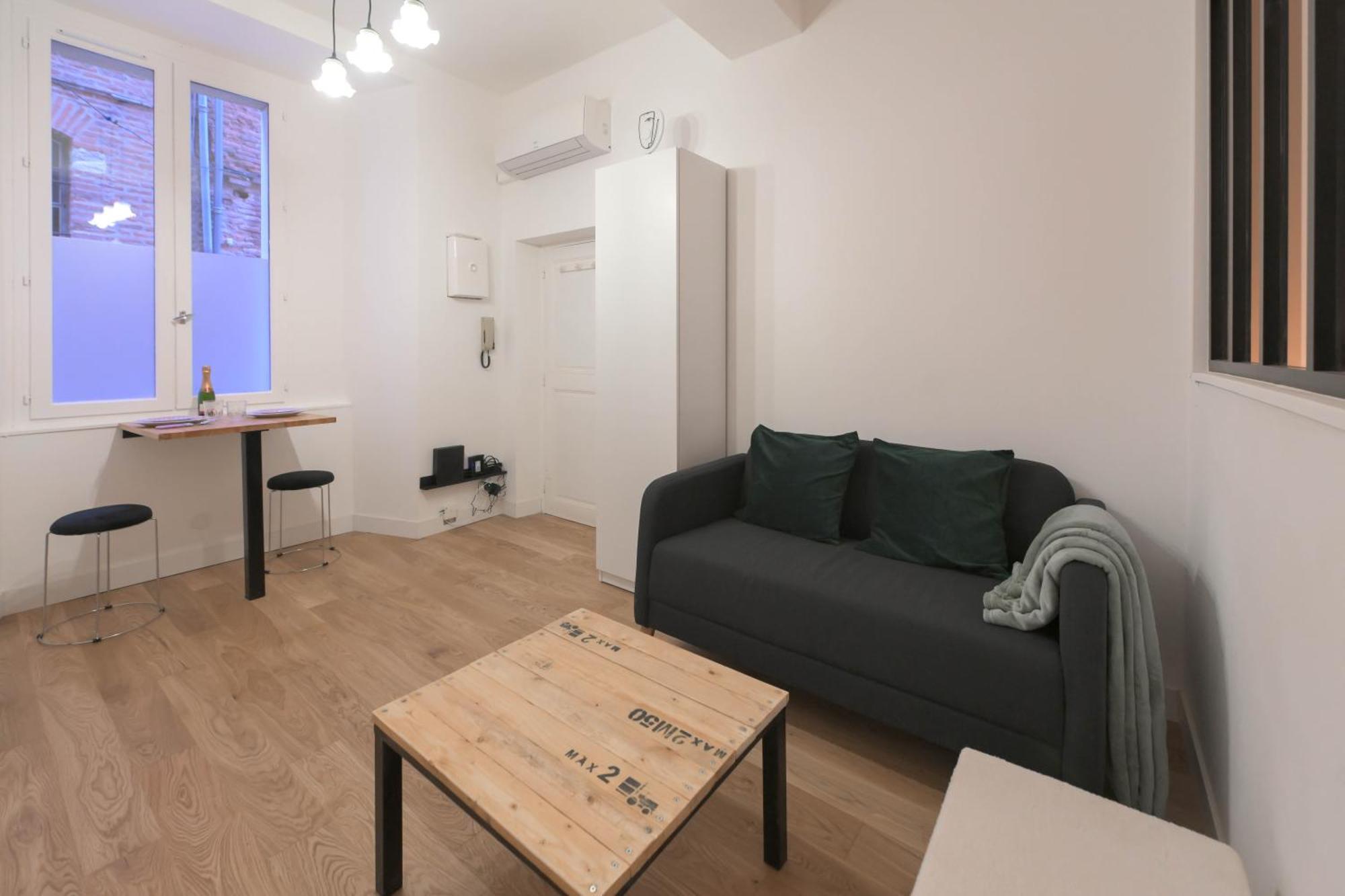 Appartement T1 Bis L'Enfilade Albi Extérieur photo
